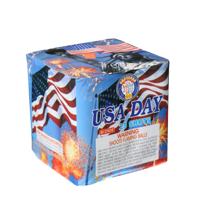 USA Day 25 Shots