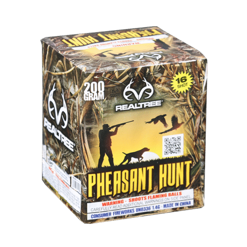 Pheasant Hunt