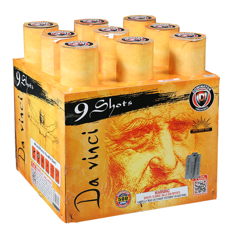 da Vinci