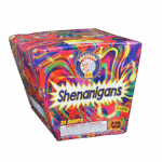 Shenanigans 21's