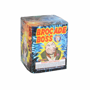 Brocade Boss 12 Shot