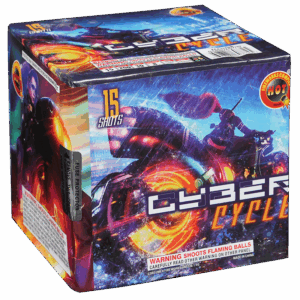 Cyber Cycle