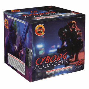Cyborg Assassin