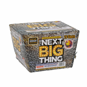 The Next Big Thing 20's