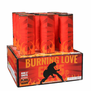 Burning Love Elvis